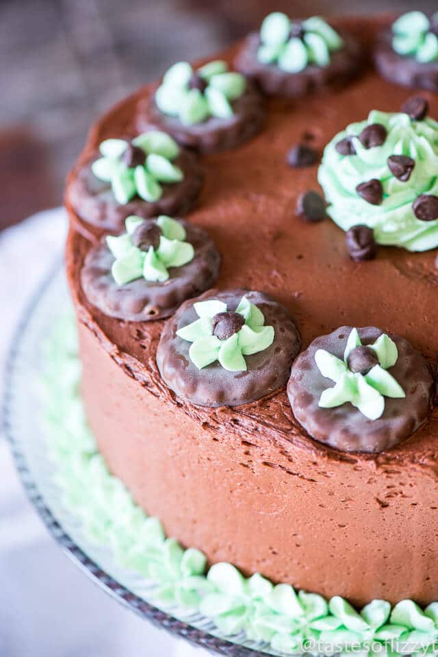 grasshopper-mint-chocolate-cake-recipe