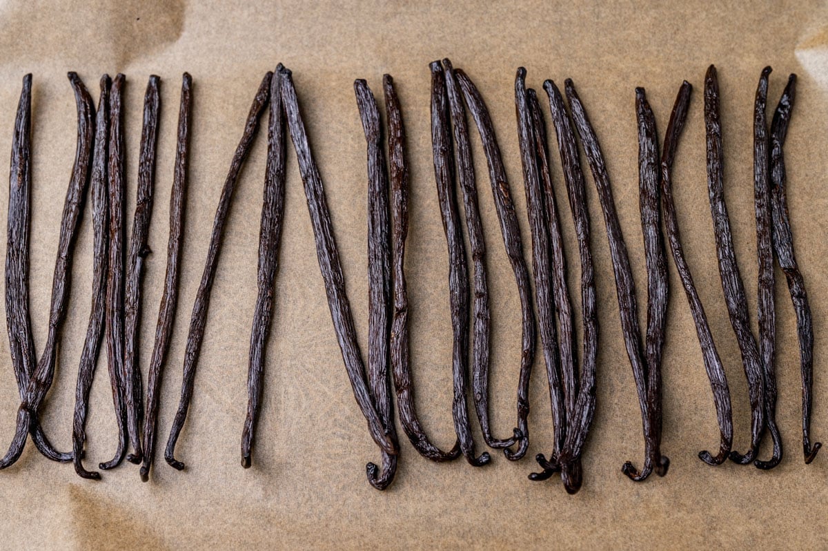 vanilla beans on a baking sheet