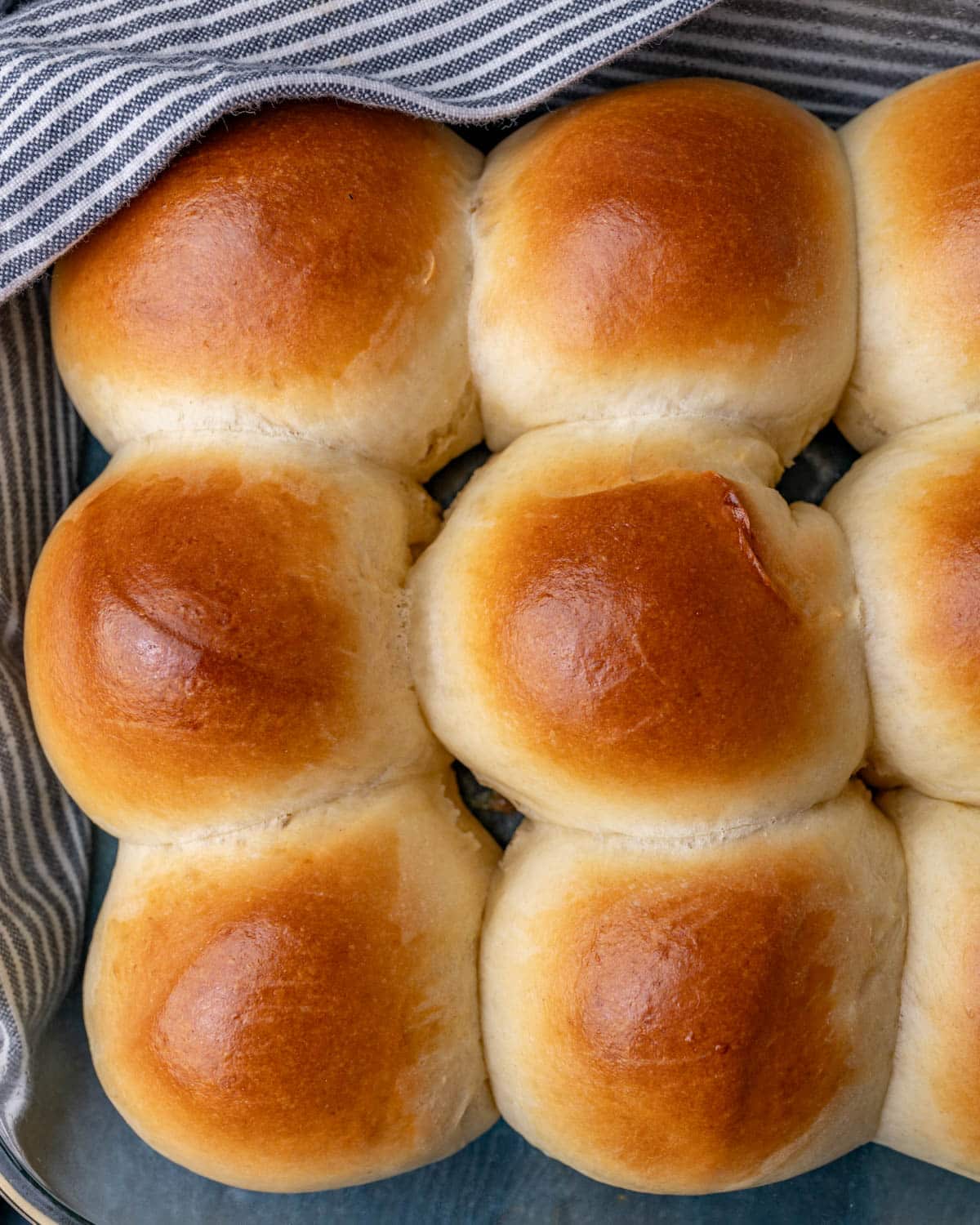 overhead view of soft homemade rolls in a pan