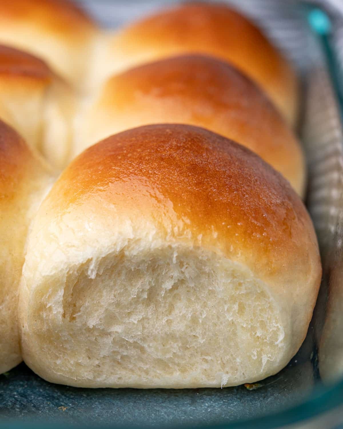 golden brown soft dinner rolls in a baking pan