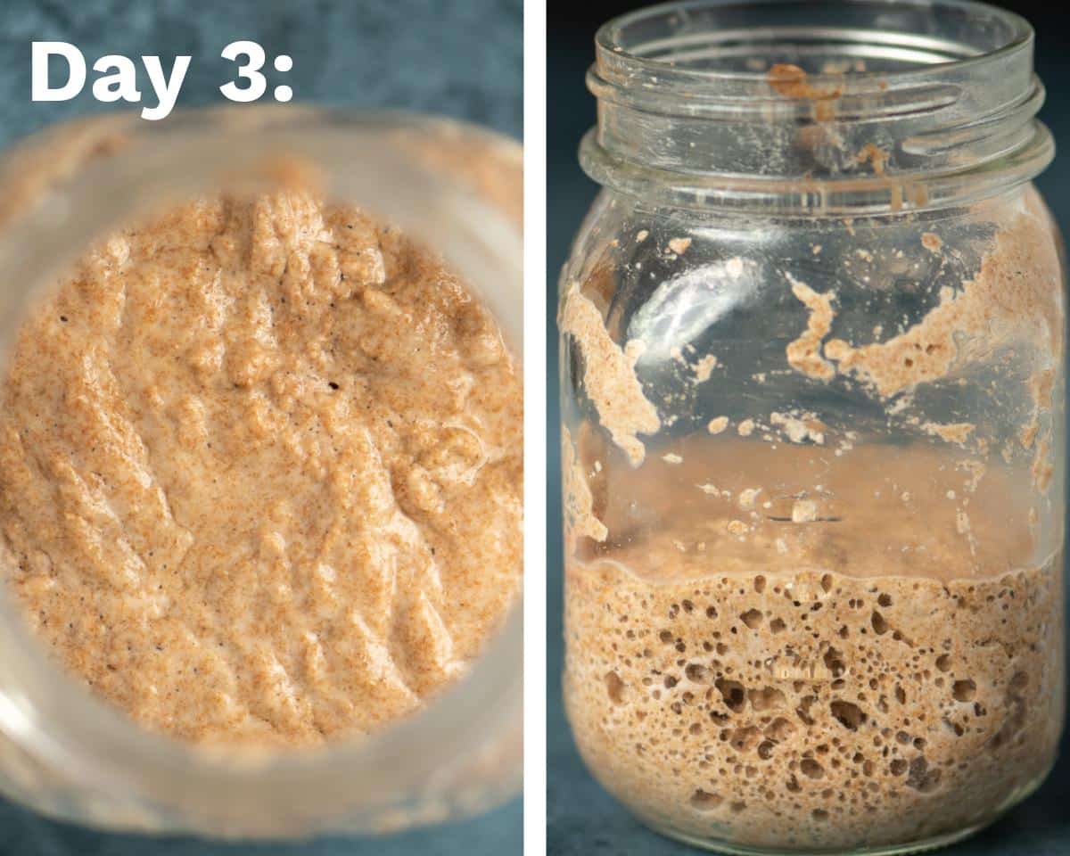 day 3 of sourdough starter process