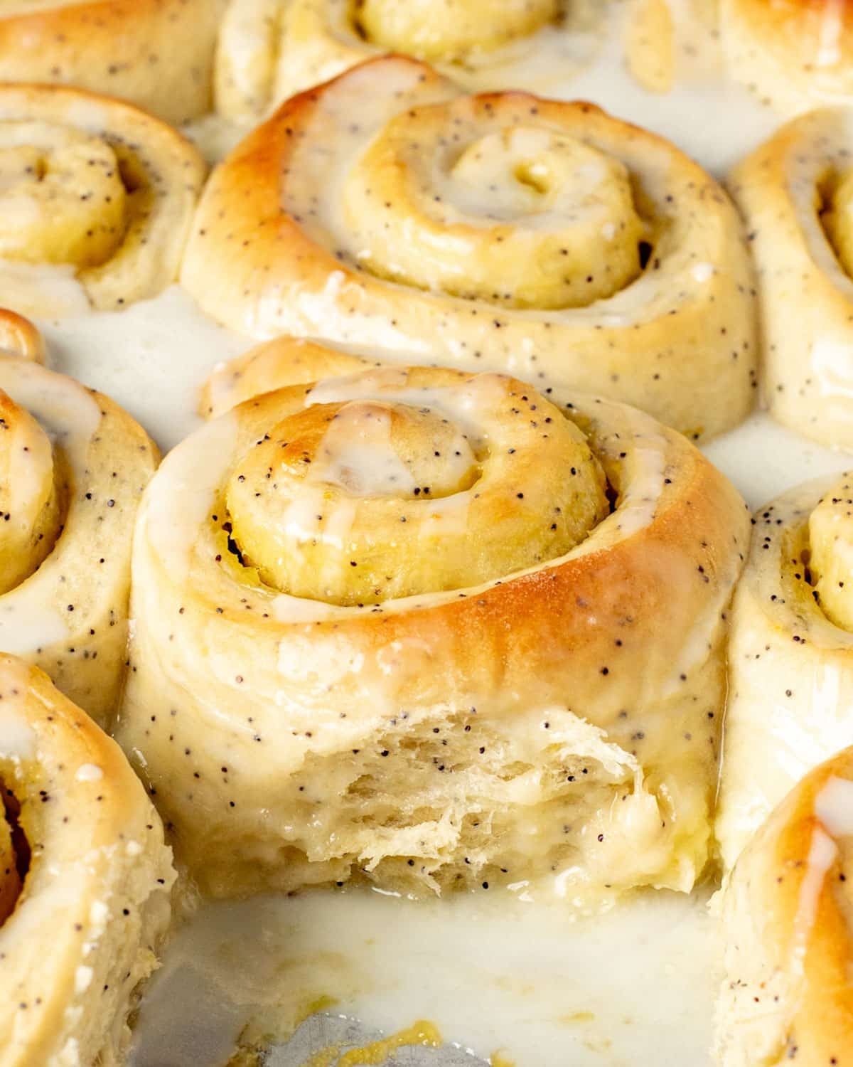 a pan of lemon poppy seed rolls