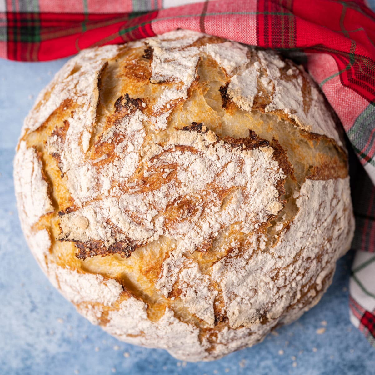 overhead loaf of sourdough bread