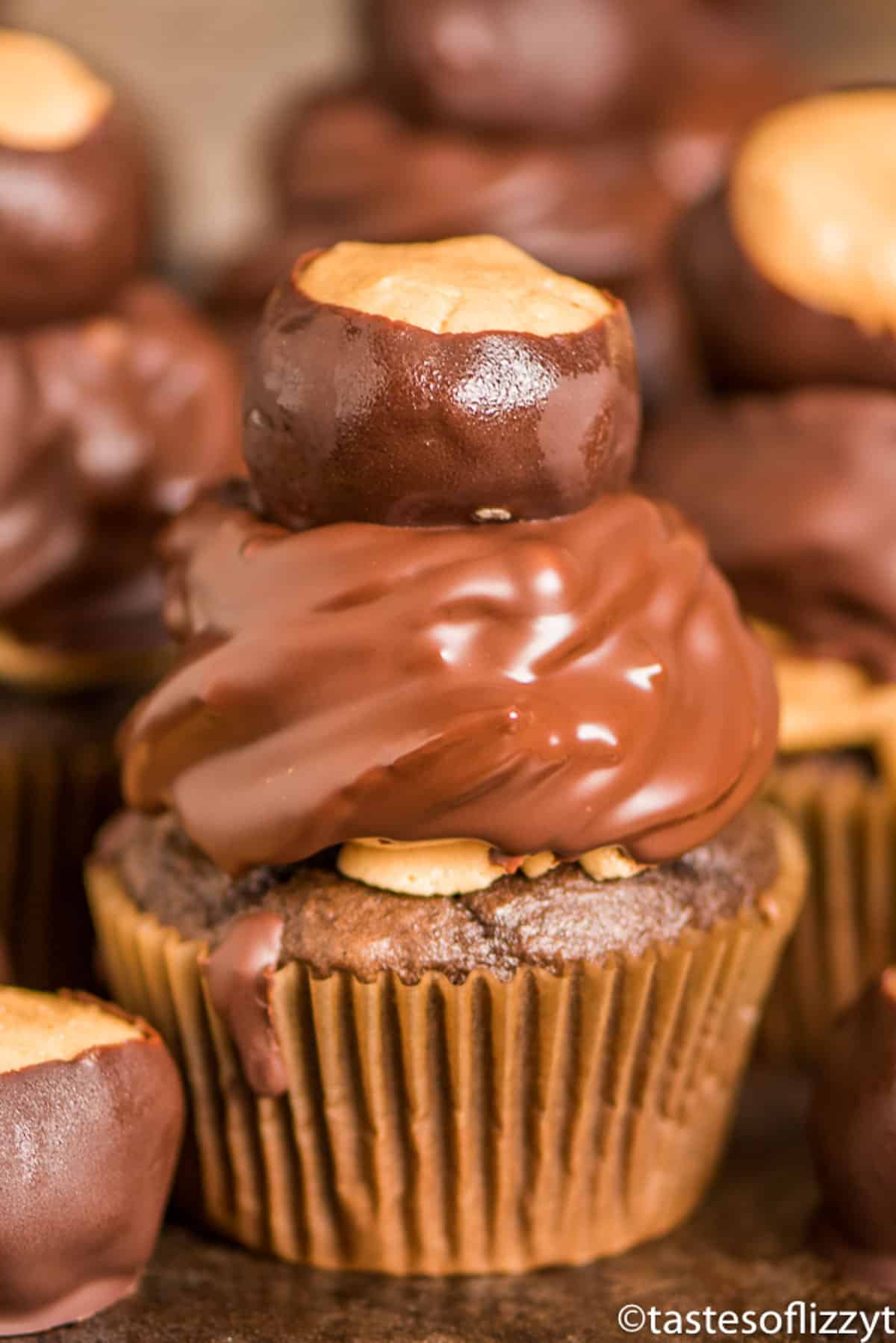 a buckeye cupcake on a table