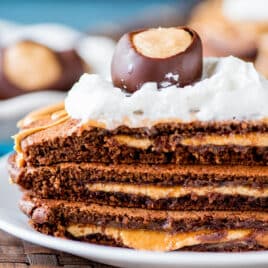closeup of chocolate peanut butter pancakes on a plate