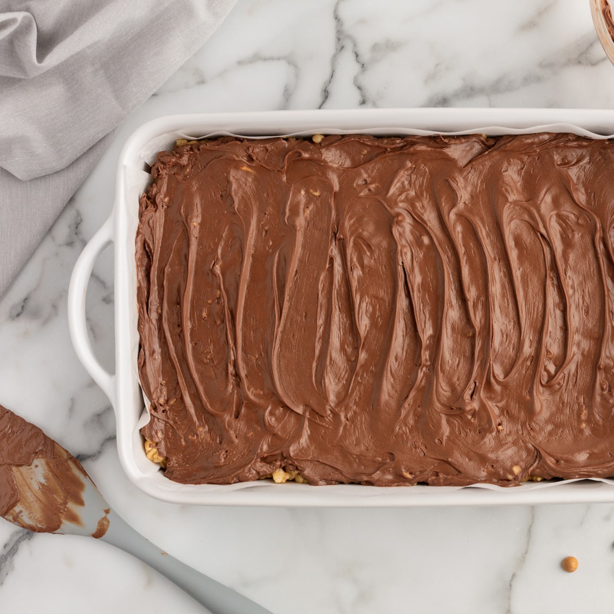 a pan of chocolate covered rice krispie scotcheroos