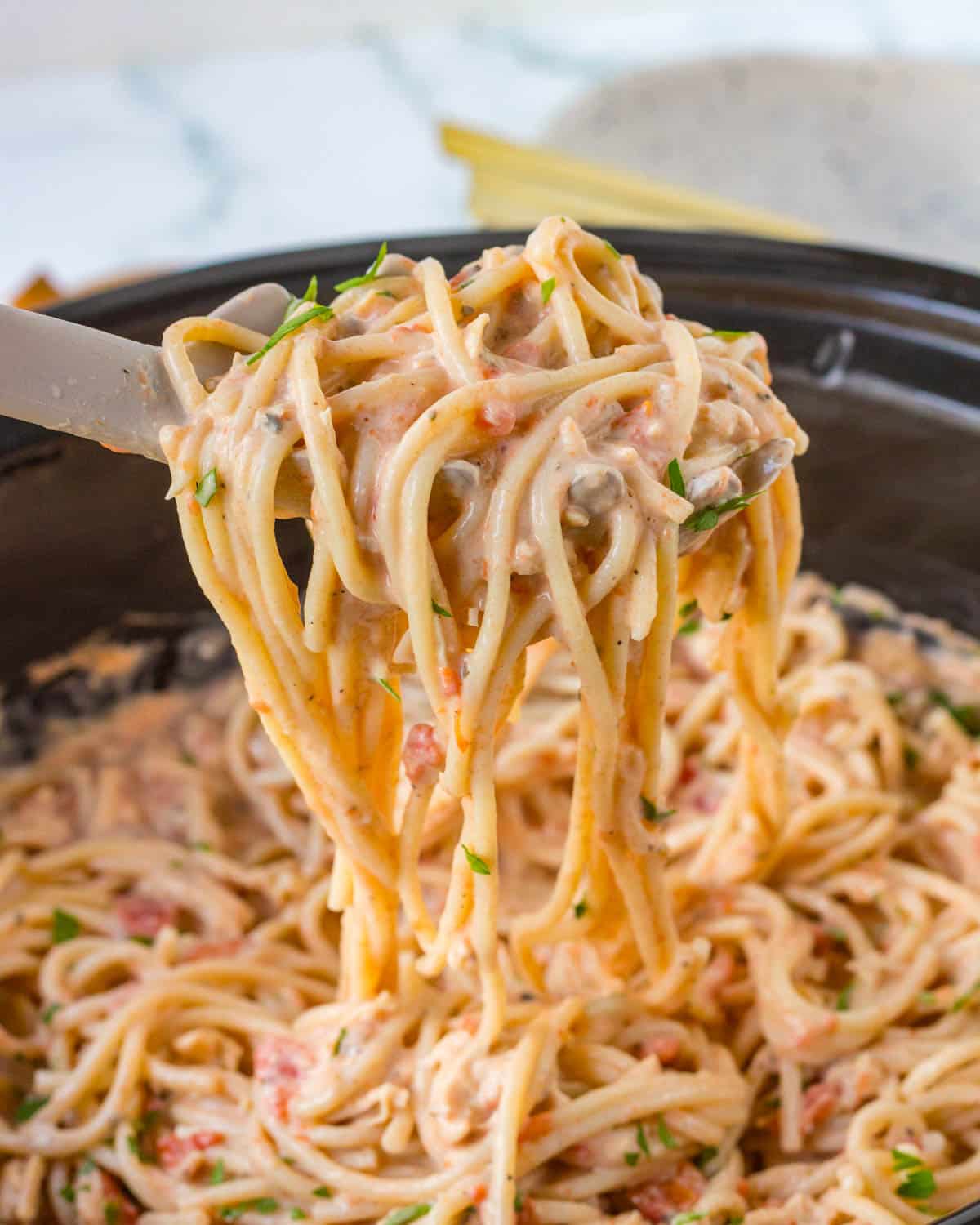 a spoonful of chicken spaghetti