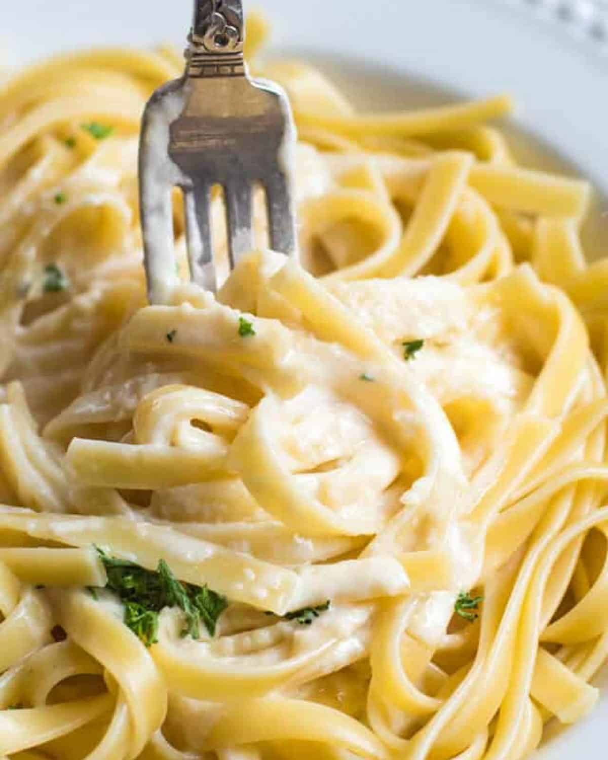 a fork in bed of alfredo sauce with fettucchini