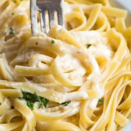 a fork in bed of alfredo sauce with fettucchini