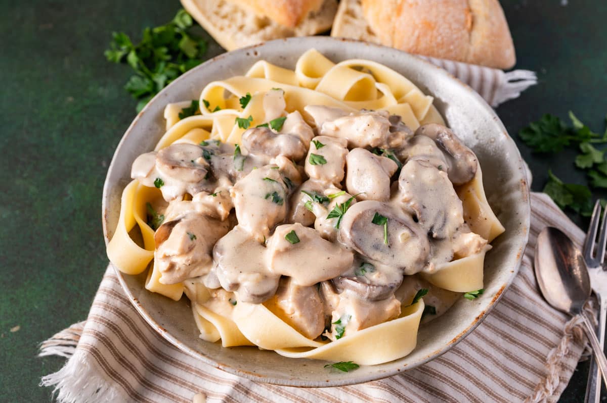a bowl of chicken stroganoff over noodles