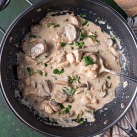 chicken stroganoff in a pan with a spoon