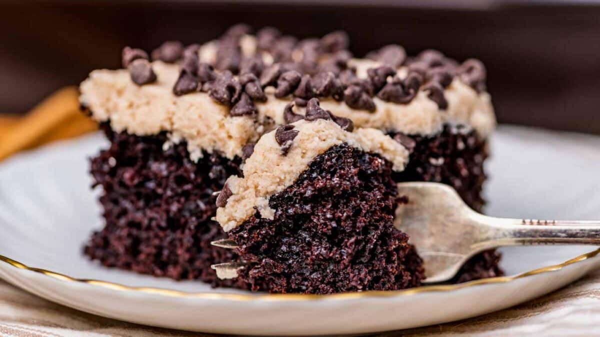 a piece of mexican chocolate cake on a plate