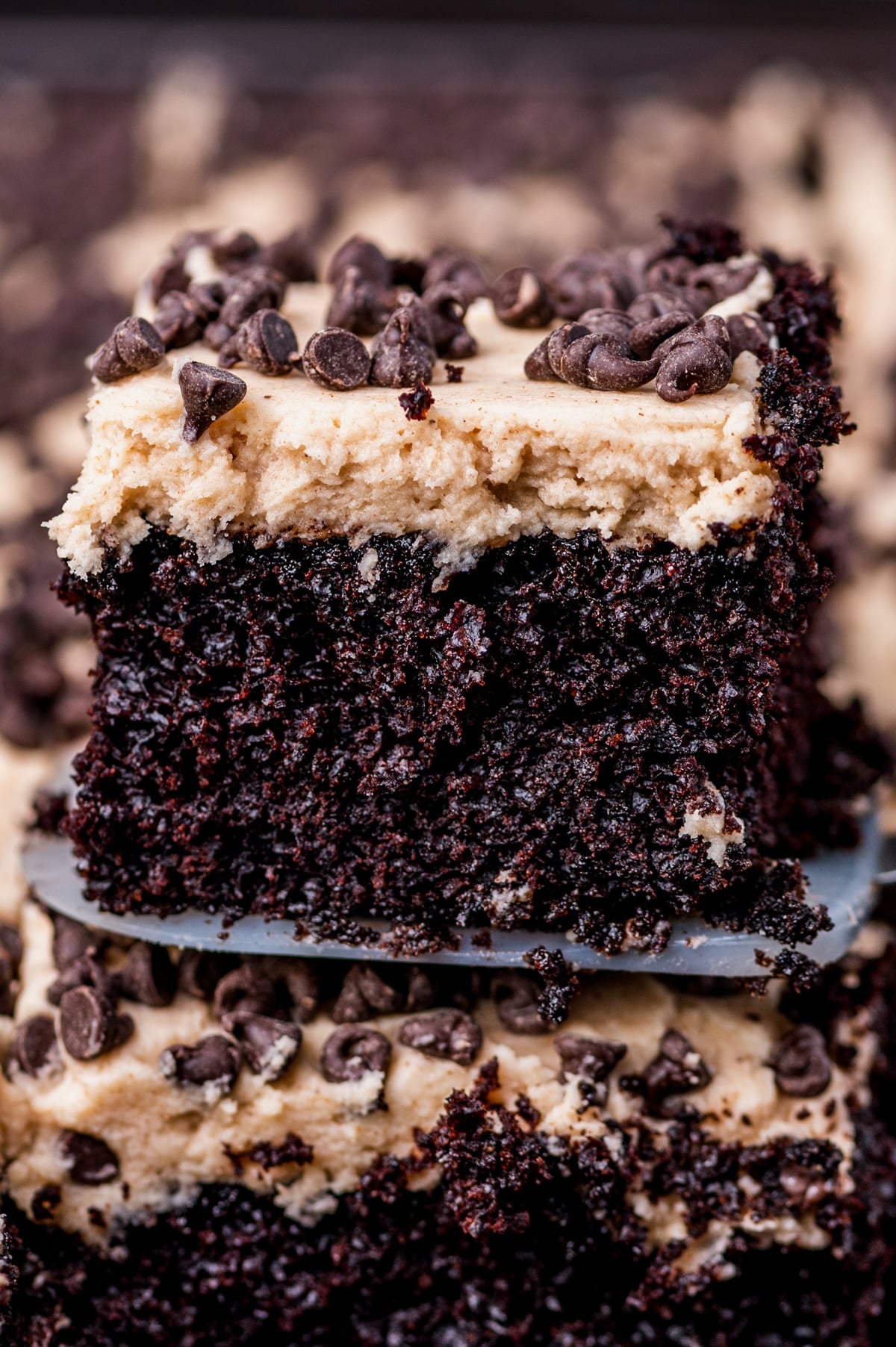 a slice of mexican chocolate cake with cinnamon buttercream on top