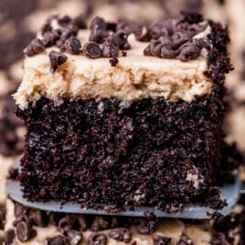 a piece of mexican chocolate cake on a spatula