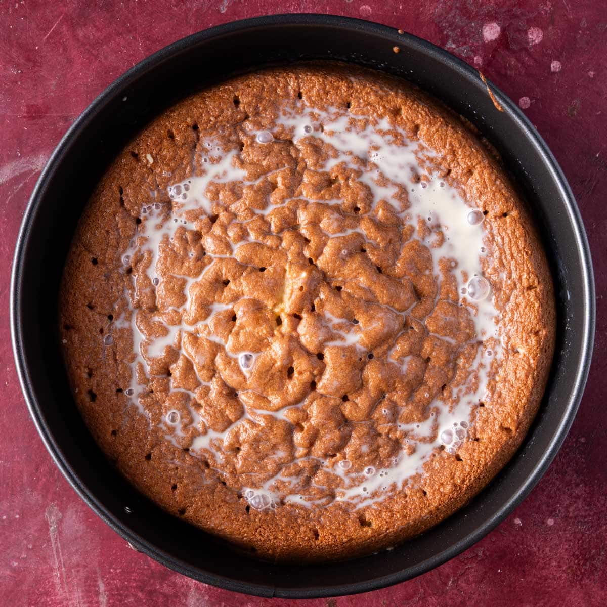 unfrosted cake with milk on top in a springform pan