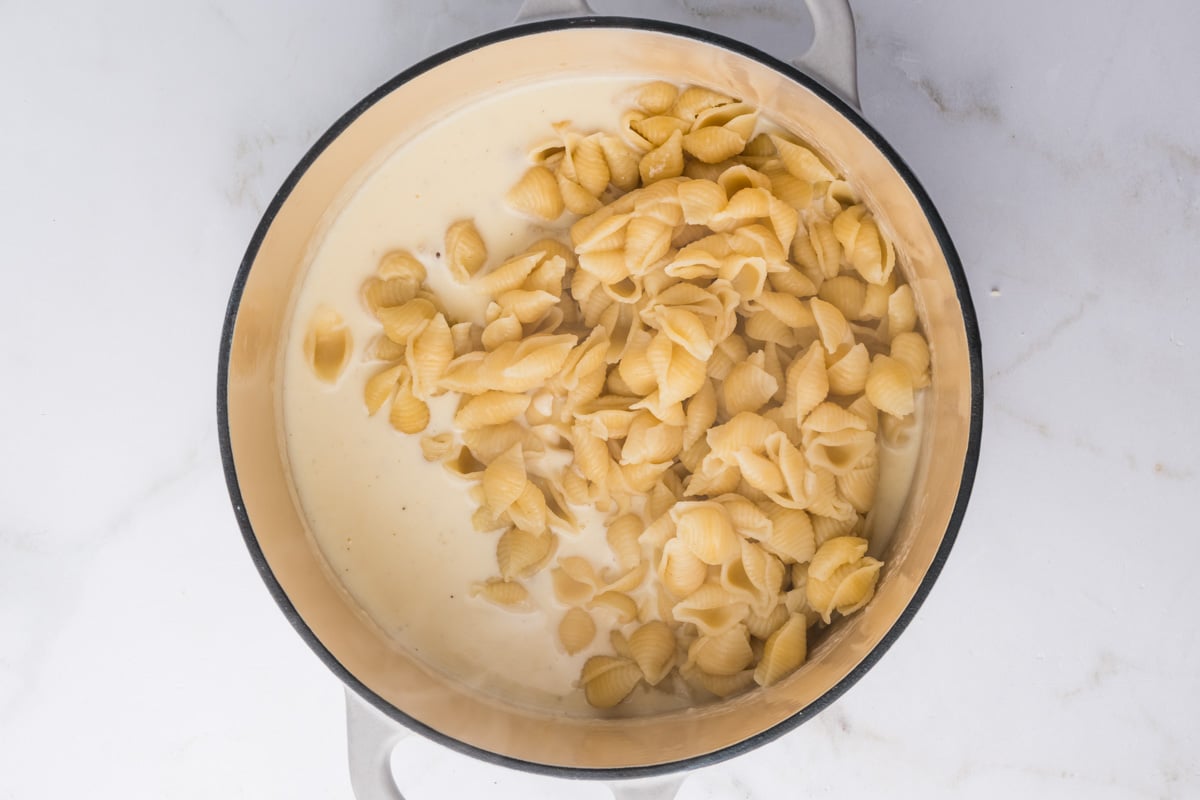 cooked pasta shells over melted cheese