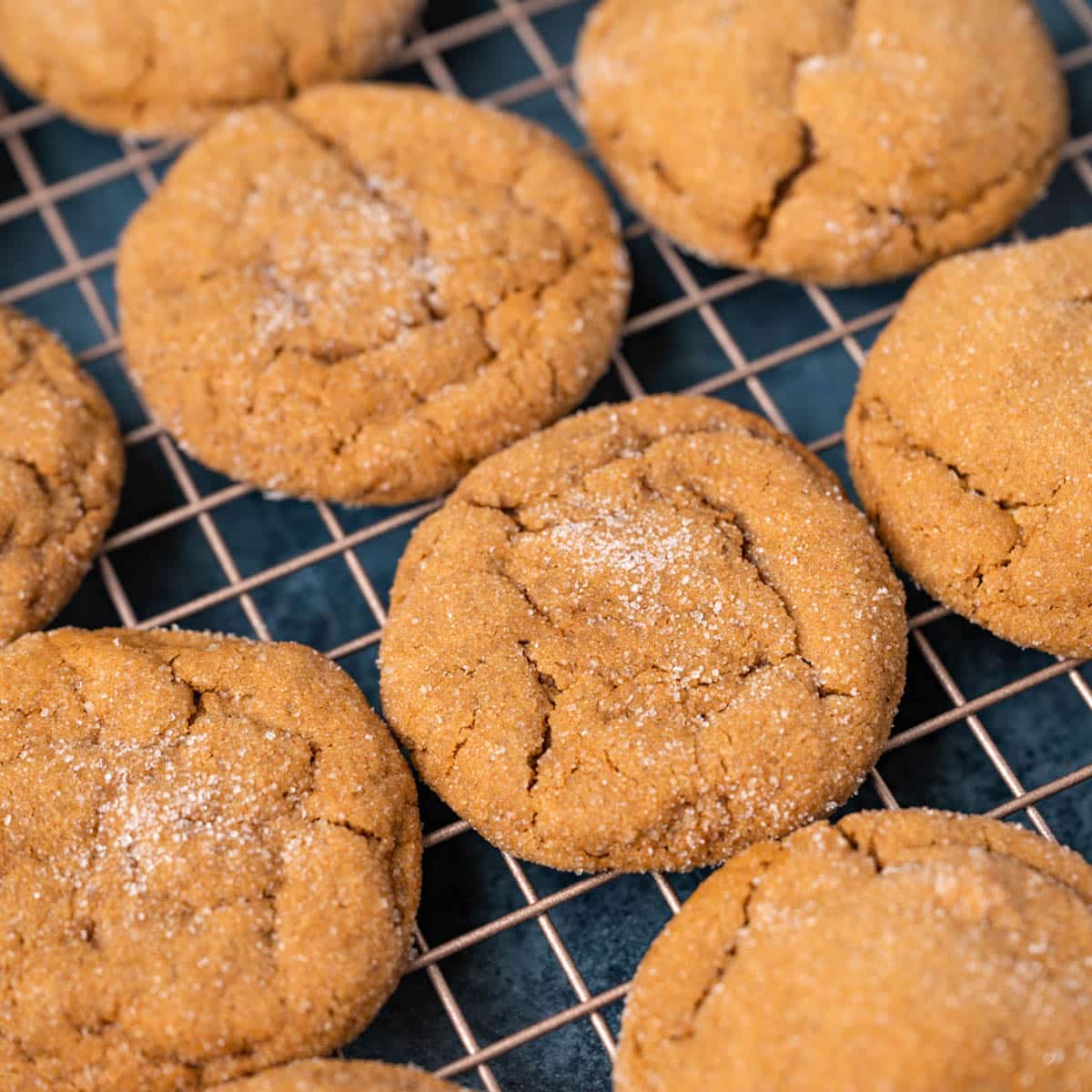 ginger molasses cookies cooling on a wire rack
