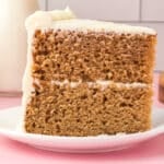 a piece of applesauce spice cake on a plate