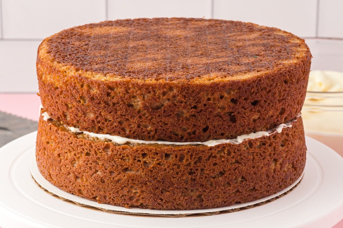 unfrosted applesauce spice cake on a table