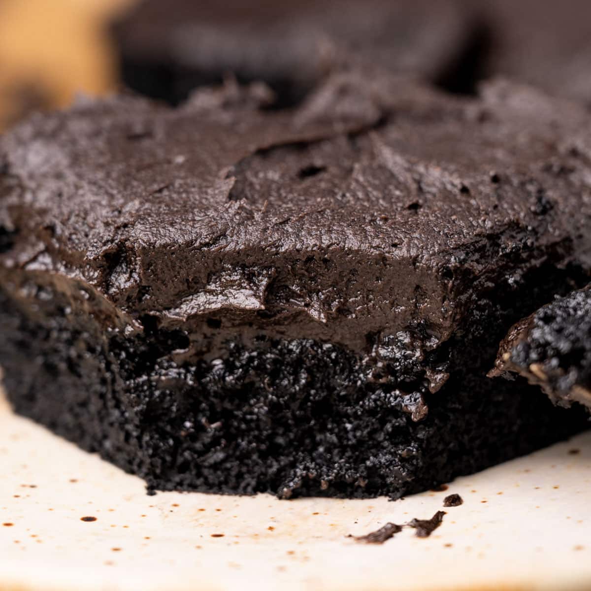 black cocoa powder cake on a plate