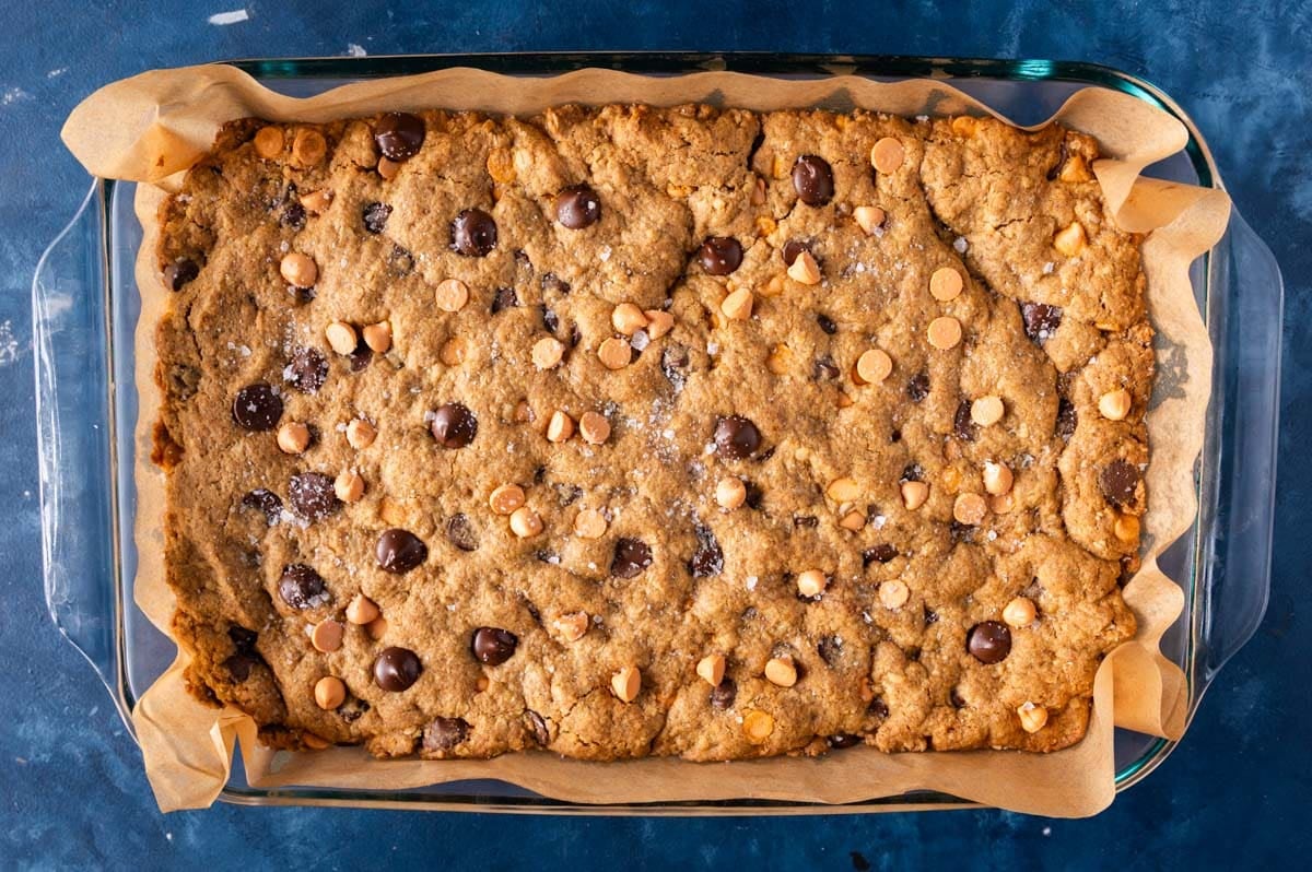 baked pumpkin oatmeal chocolate chip bars