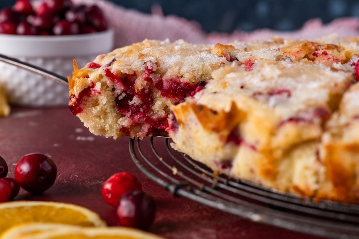 a slice of cranberry cake pulling out on a spatula