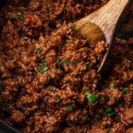 a spoon in a slow cooker with taco meat