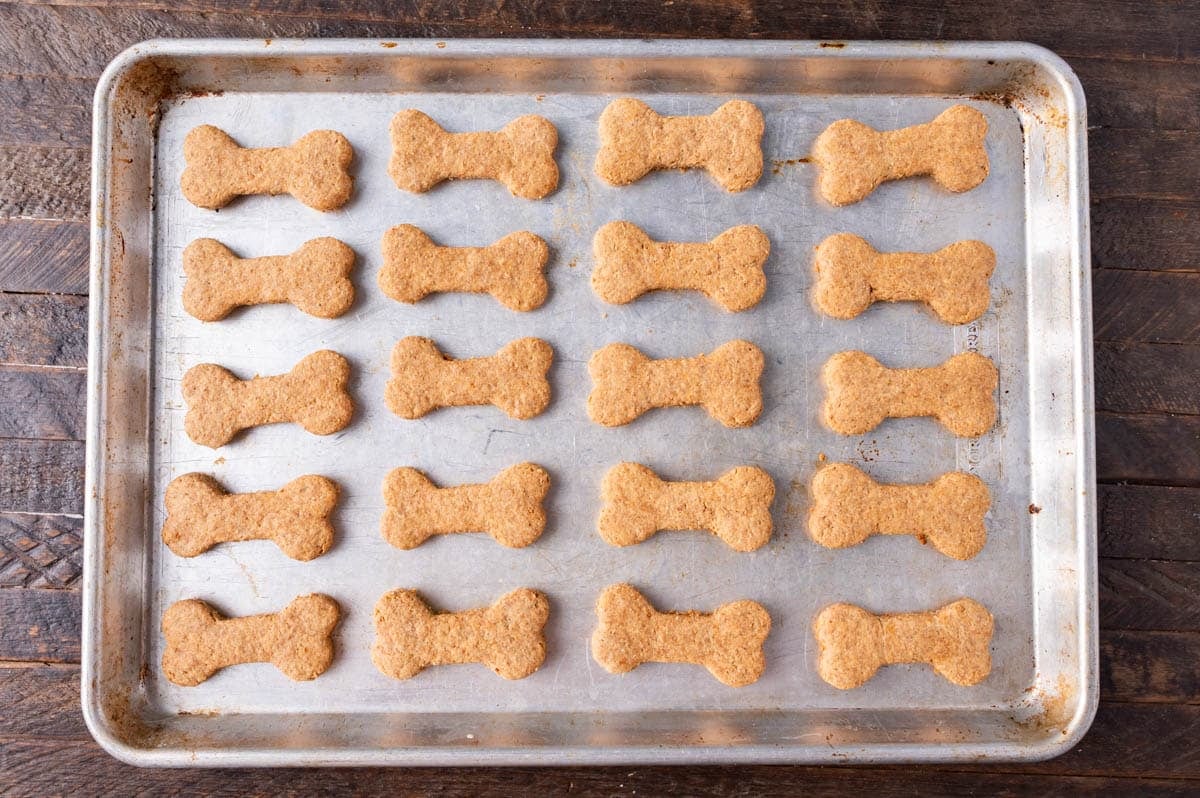 baked dog biscuits on a pan